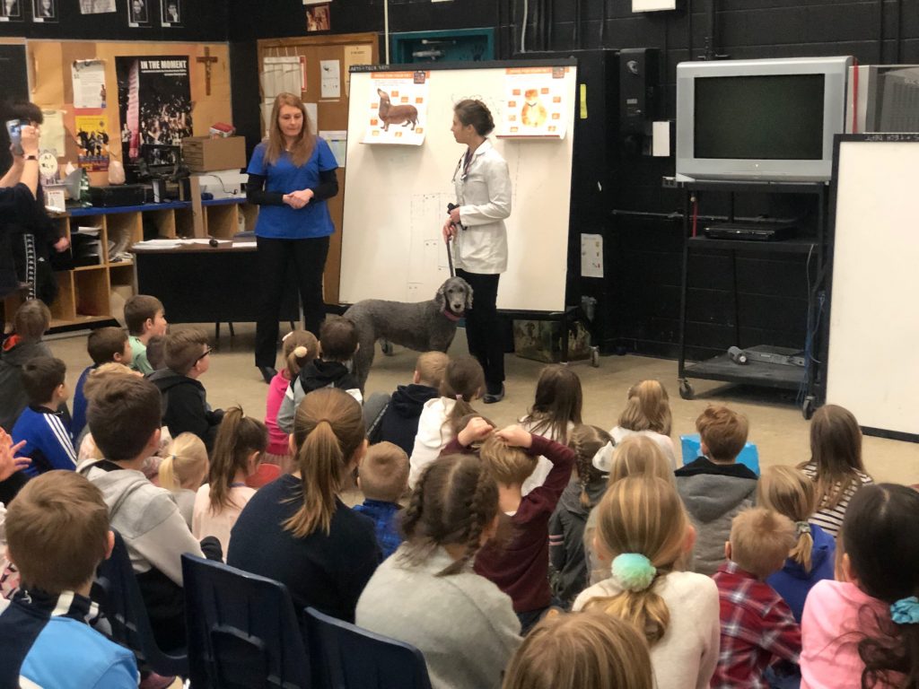 SPOTKANIE Z WETERYNARZEM