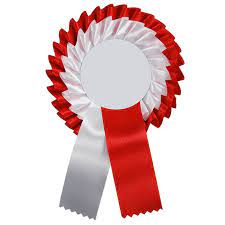 BIBLIOTEKA SP TORONTO OGŁASZA KONKURS NA NAJPIĘKNIEJSZY KOTYLION – II EDYCJA