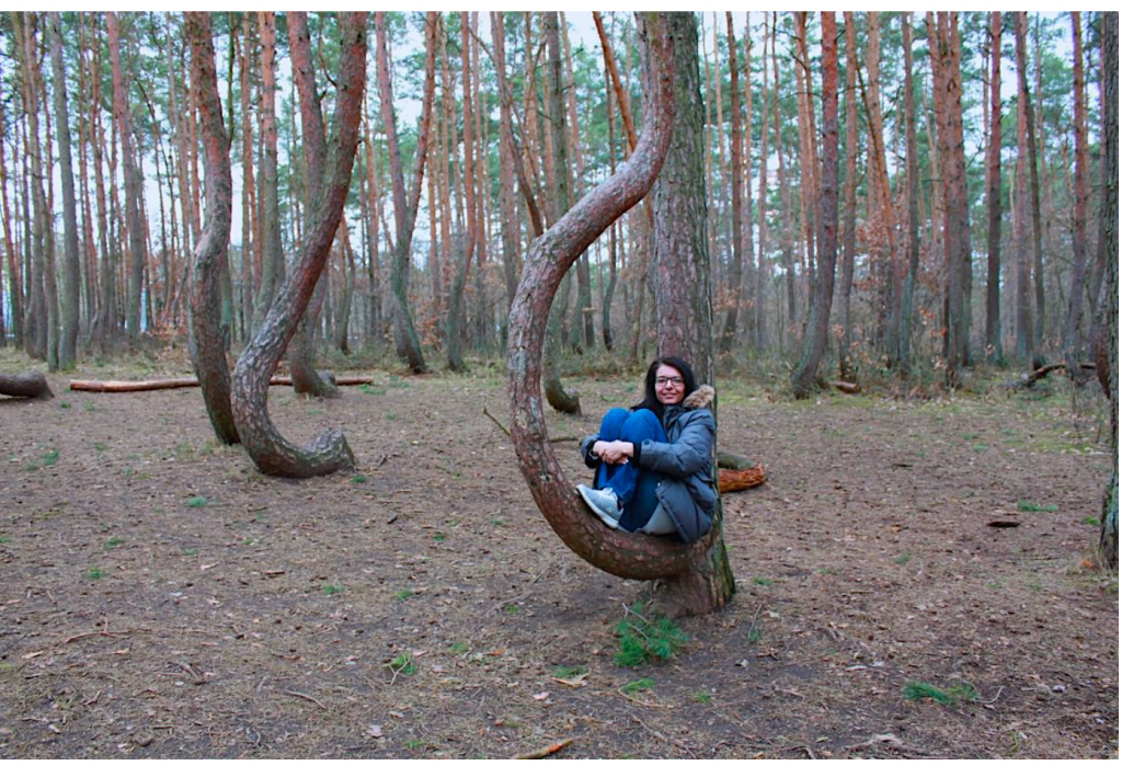 WYWIAD Z PANIĄ BARBARĄ STYCZEŃ, LAUREATKĄ IV KONKURSU “POLONIJNY RODZIC NA 6” DLA PORTALU “DOBRA SZKOŁA NOWY JORK”